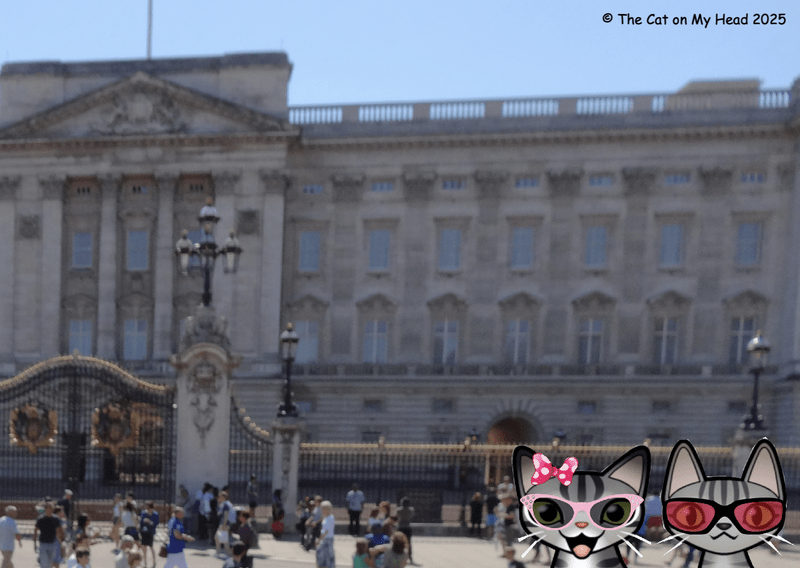 Two cartoon tabby cats at Buckingham Palace in London.